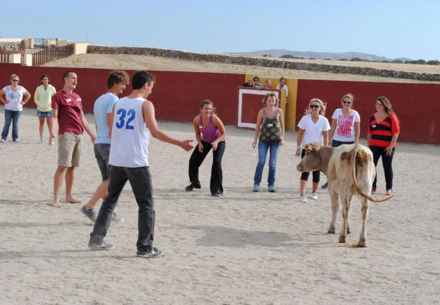 Desafiando a la vaca